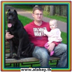 ��������� ����������� ������ �����!