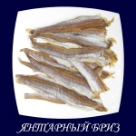 ������� ���� � ������������ �����