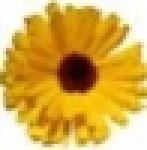 ���� �� ������������ ���������� ��� ������ �������� www.landgreen.ru ������������ � ����� 2012