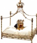 ����� - ����� ������� �� ������� �������! 