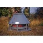 �������� ��� ����� ������� ������������ ������������ ��� ��