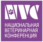 ���� ������ ��� ������ ������������� ������������ ����������� 2015�