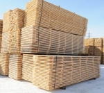 ������ �� ������ ������ �� ���� �������� �����!