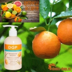 ������  �������  �������� ���� ��������!