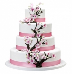 ��������� �����