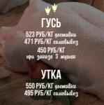 � ��������-�������� �� ������� ������� ���� �� ���� �����!