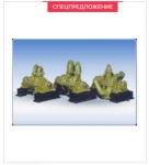 ��������������� �� ������������ �����������