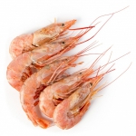 ����� �� ������������ ��������