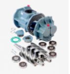 ���������� ������������ ������������ ������������