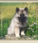        - dobryidoc.ru
