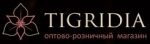 Tigridia, ��