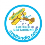 Цветландия, ИП Цветландия, ИП