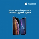     iPhone    :   50%!